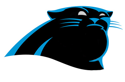 Carolina Panthers Fat Logo DIY iron on transfer (heat transfer)